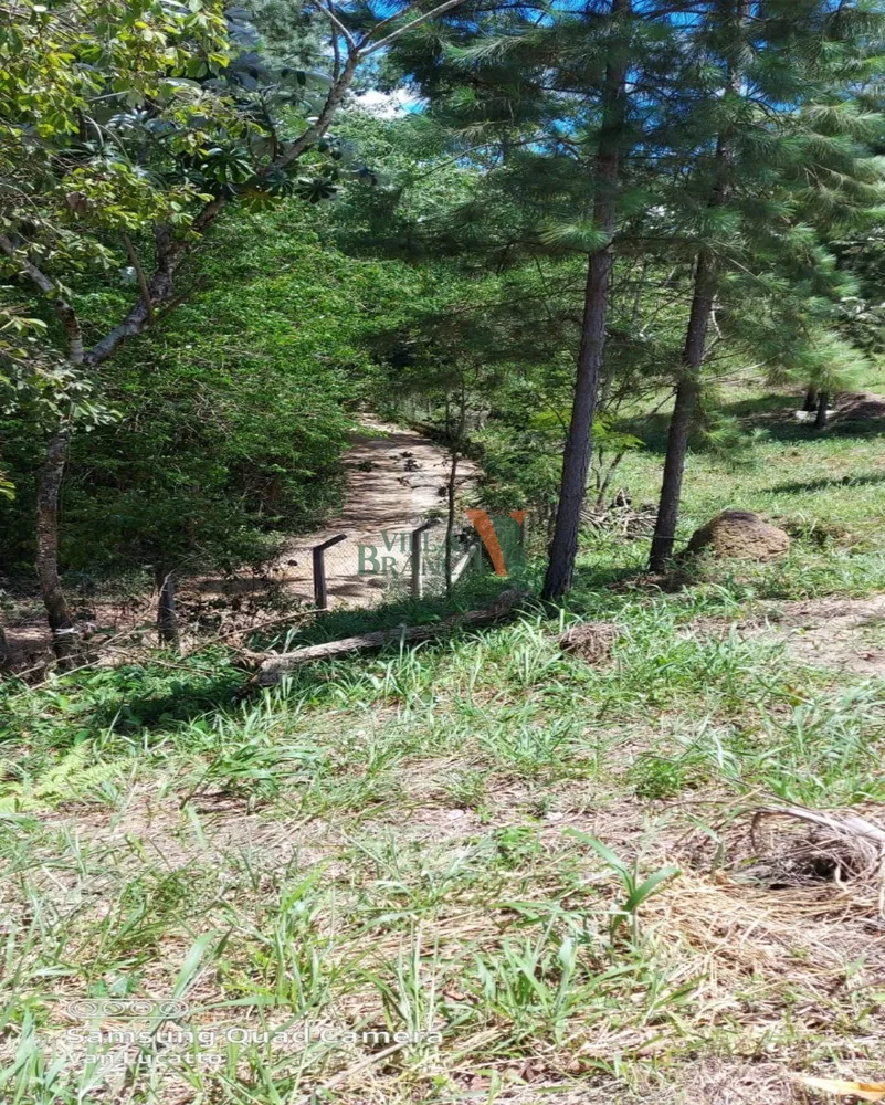 Terreno - Foto 2