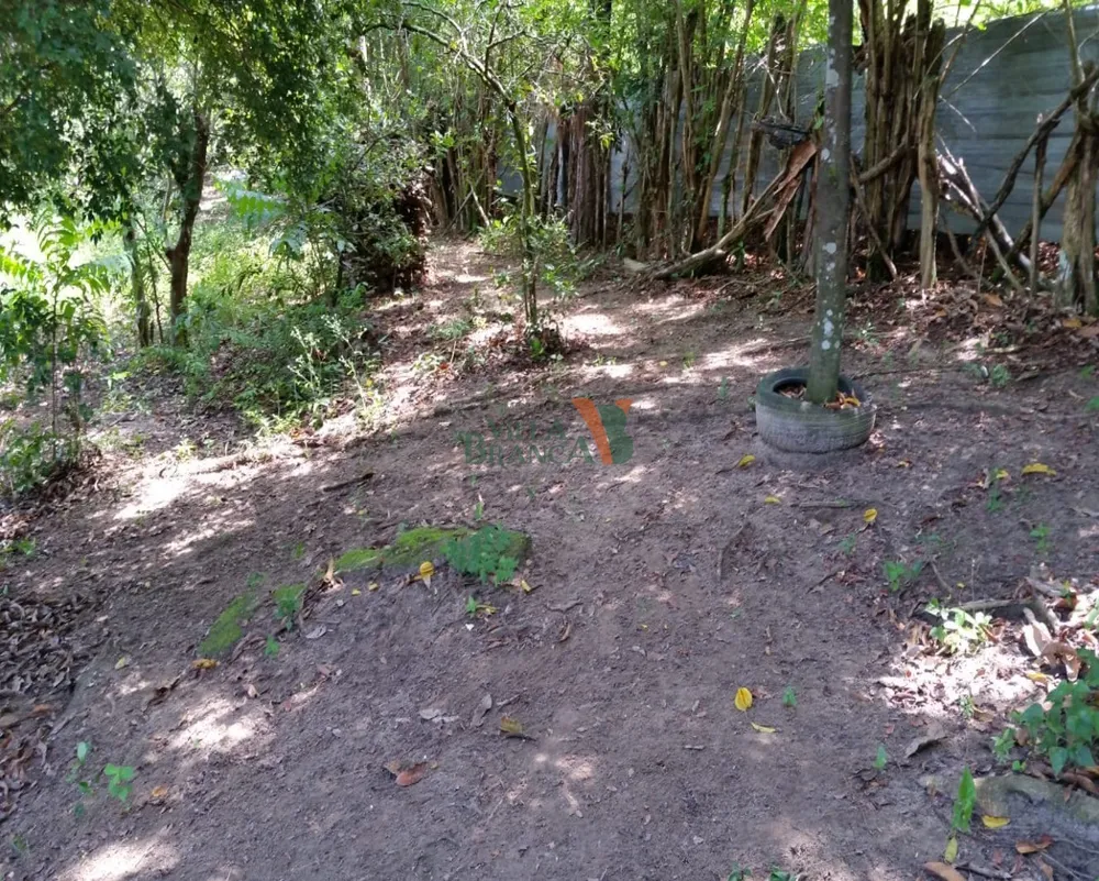 Terreno - Foto 4