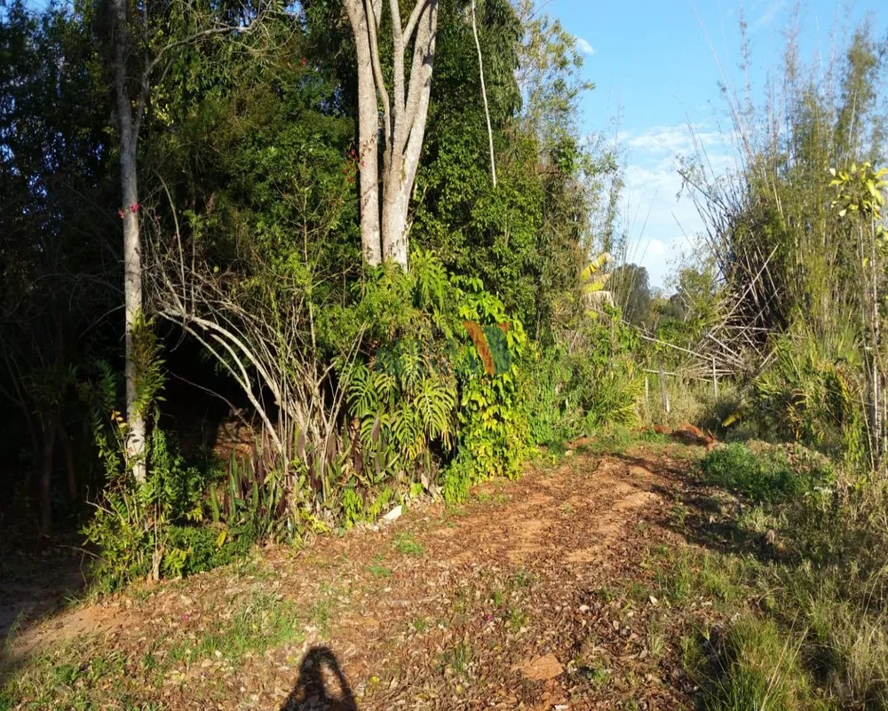 Terreno - Foto 2