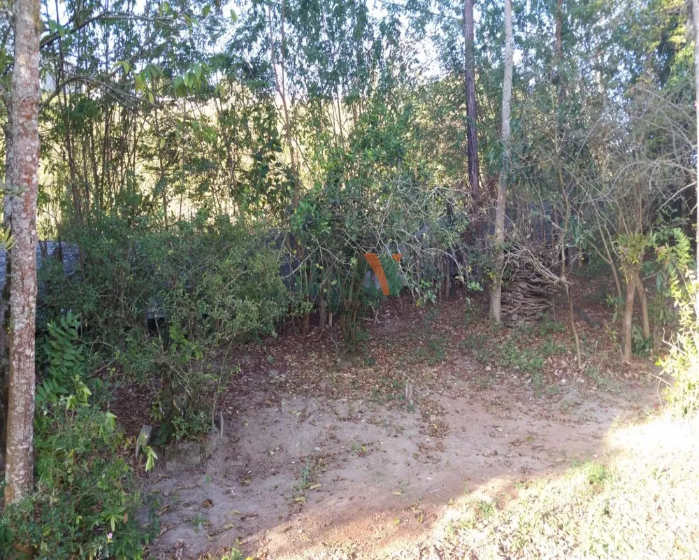 Terreno - Foto 3