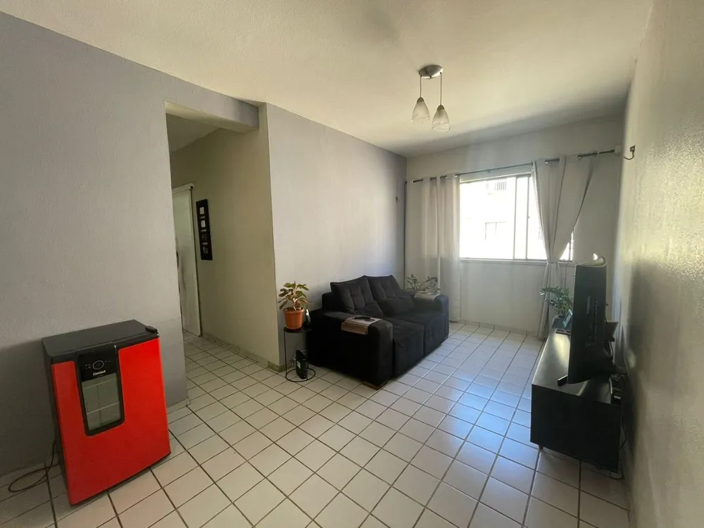 Apartamento, 3 quartos, 66 m² - Foto 3