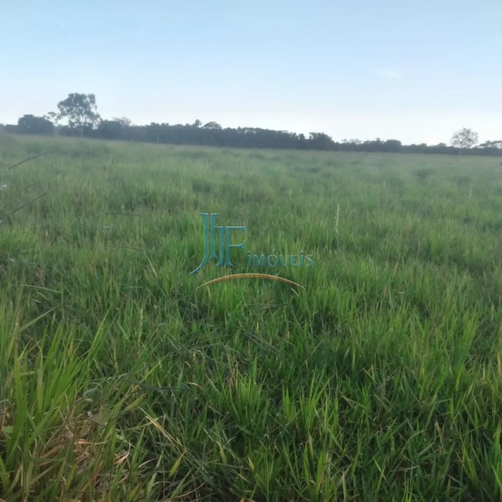 Sítio, 4 quartos, 11 hectares - Foto 13
