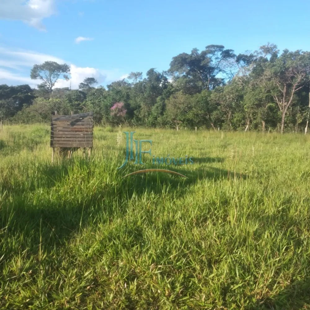 Sítio, 4 quartos, 11 hectares - Foto 10