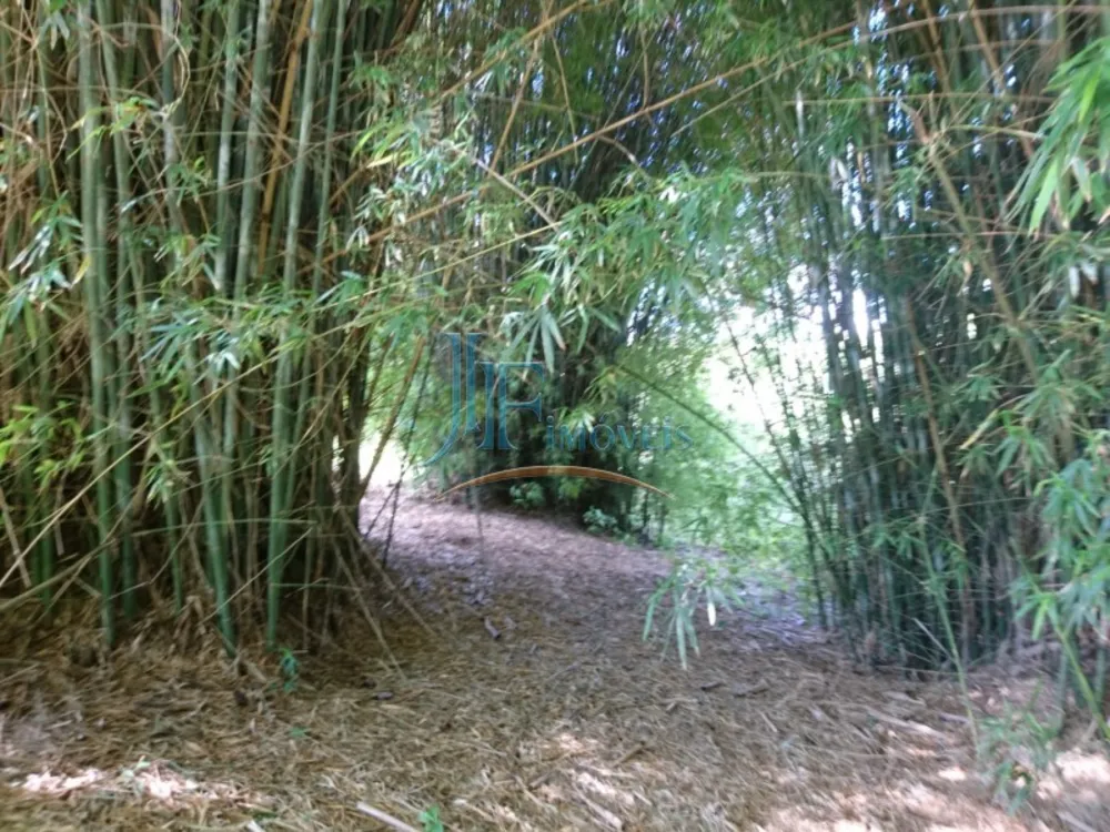 Sítio, 4 quartos, 16 hectares - Foto 12