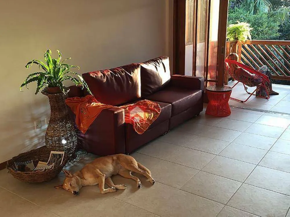 Apartamento, 1 quarto, 74 m² - Foto 2