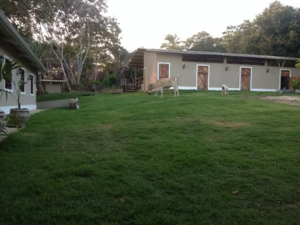 Terreno, 10 hectares - Foto 6