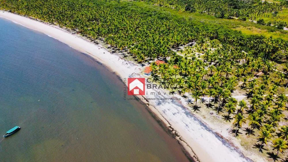 Terreno, 5500 m² - Foto 4