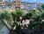 Apartamento, 2 quartos, 93 m² - Foto 1