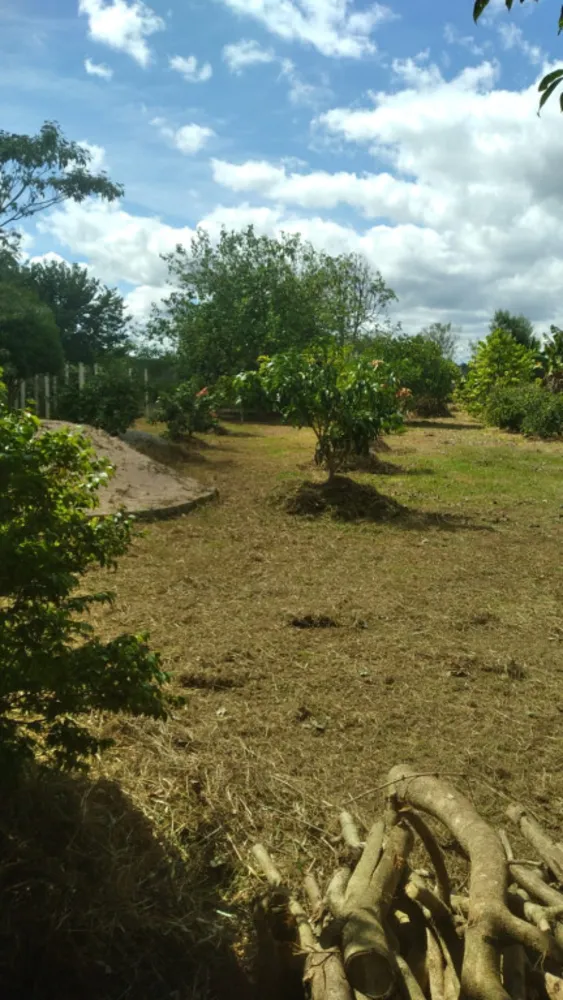Terreno, 1000 m² - Foto 2