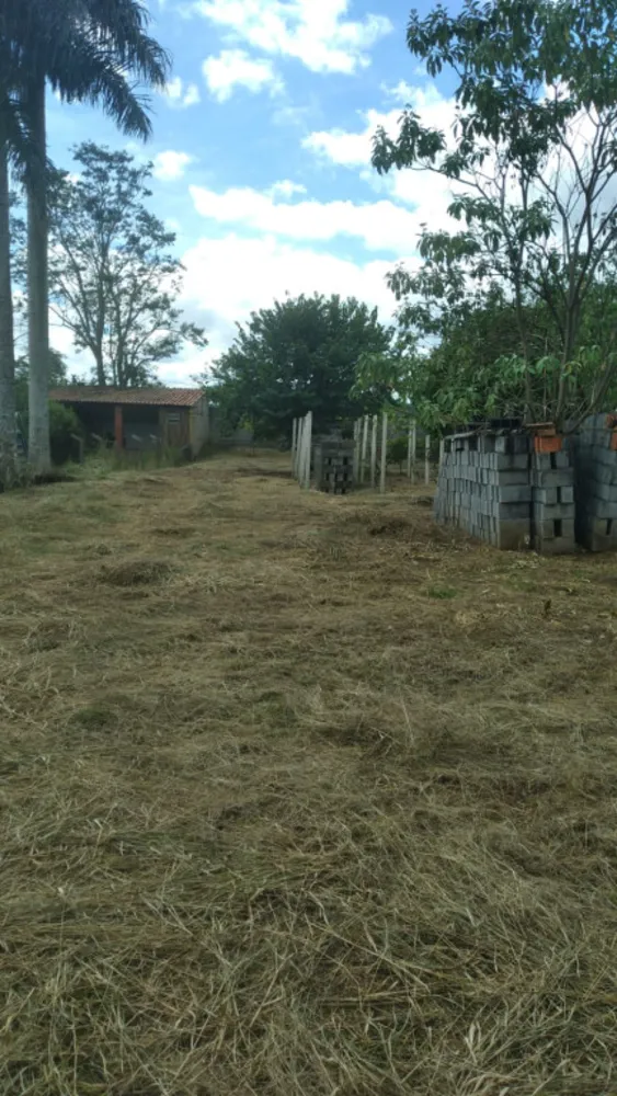 Terreno, 1000 m² - Foto 3
