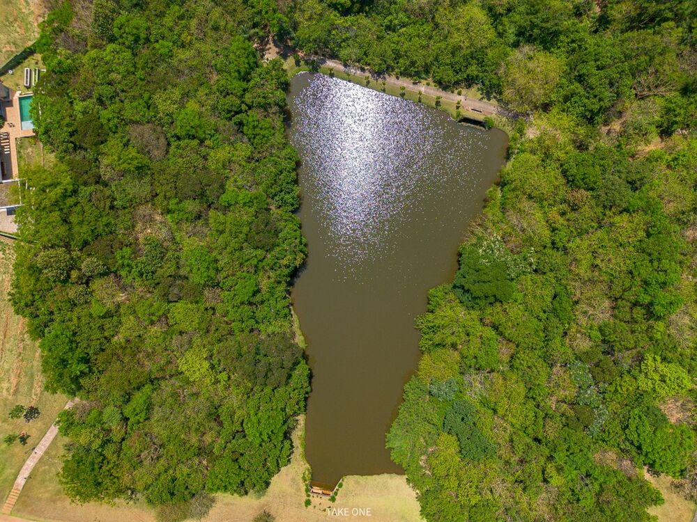 Casa, 4 quartos - Foto 2