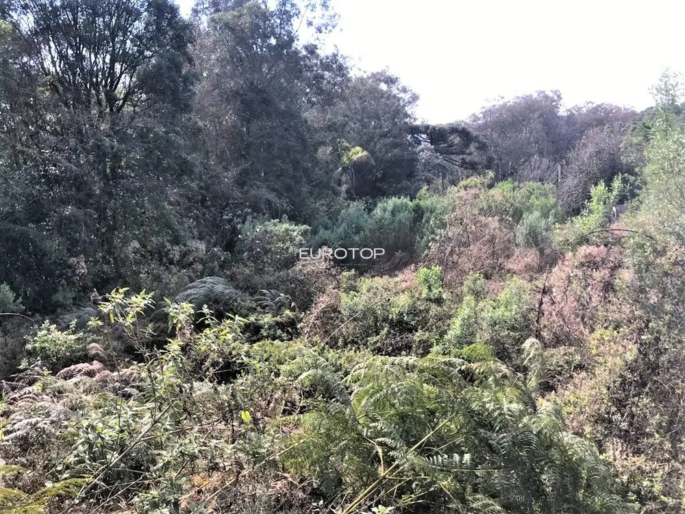 Terreno, 480 m² - Foto 1