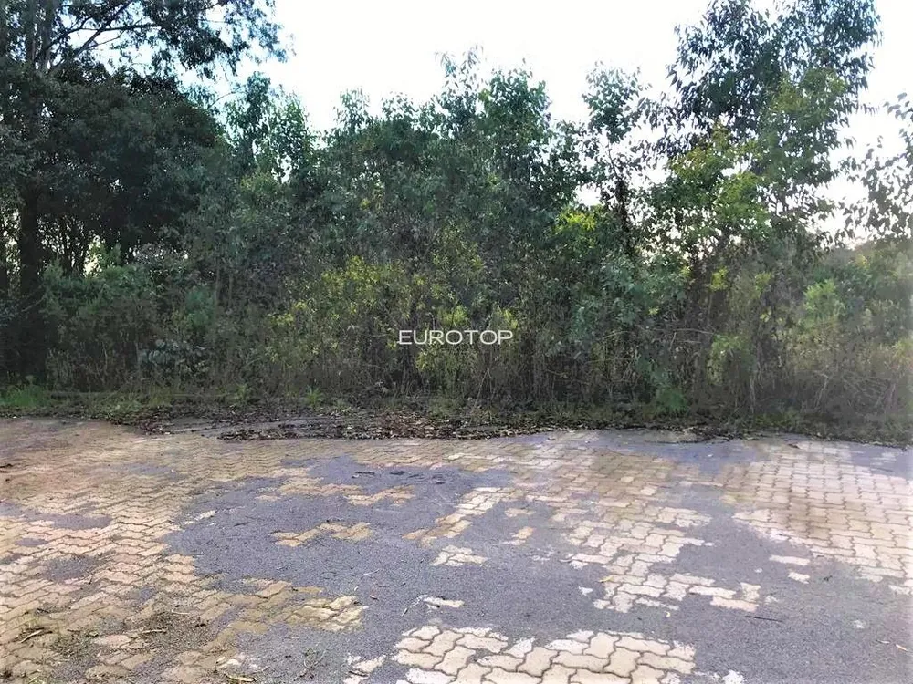 Terreno, 480 m² - Foto 3