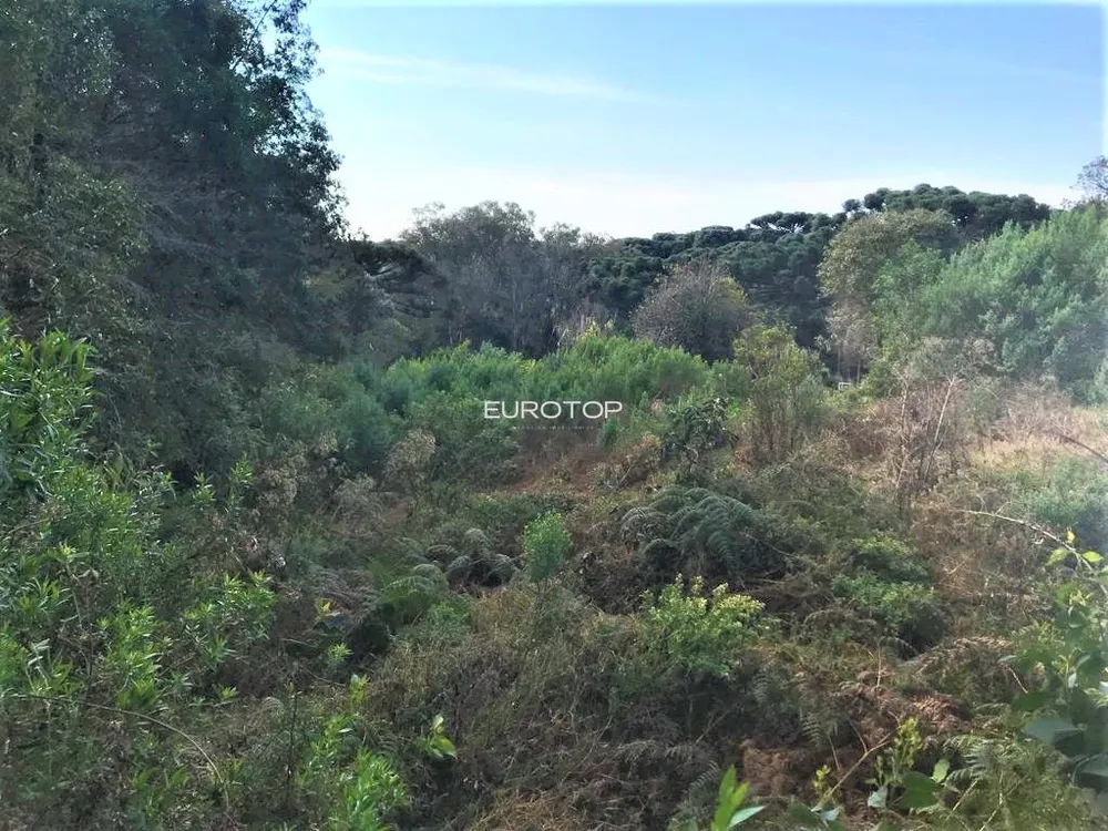 Terreno, 480 m² - Foto 4