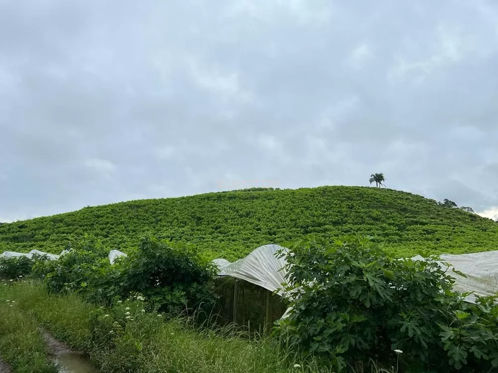 Terreno, 5 hectares - Foto 11