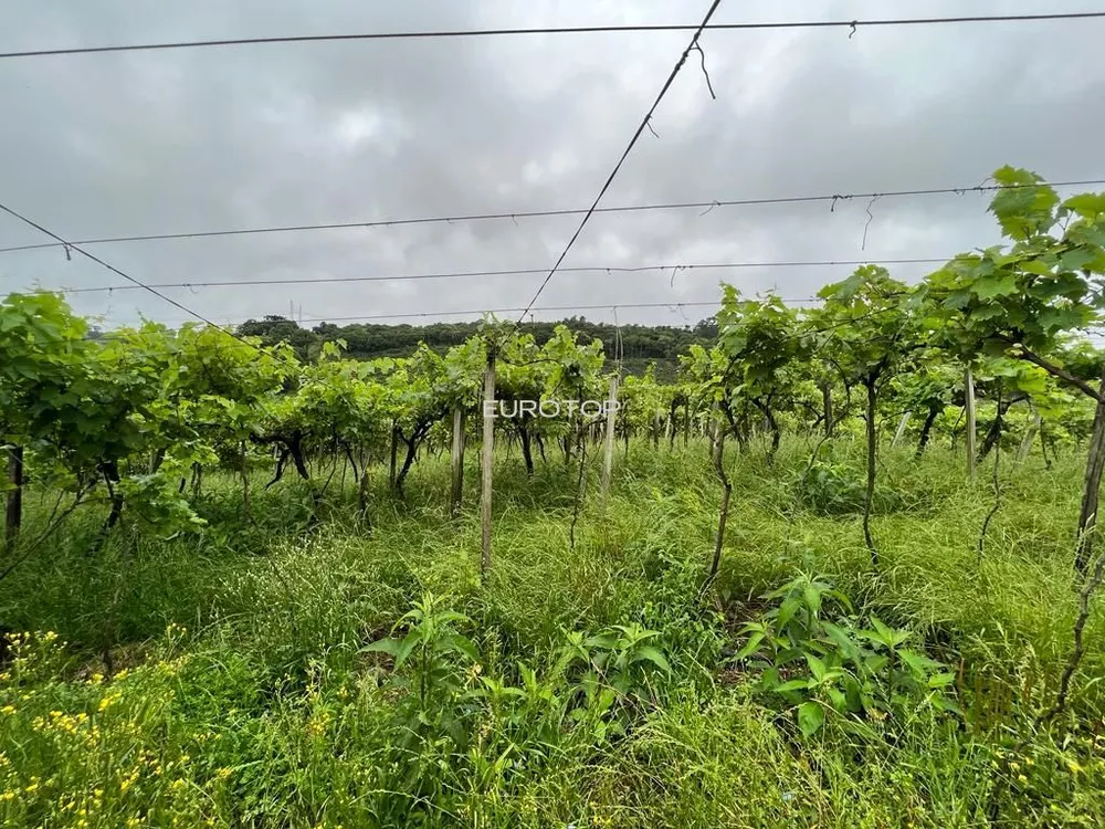 Terreno, 5 hectares - Foto 8