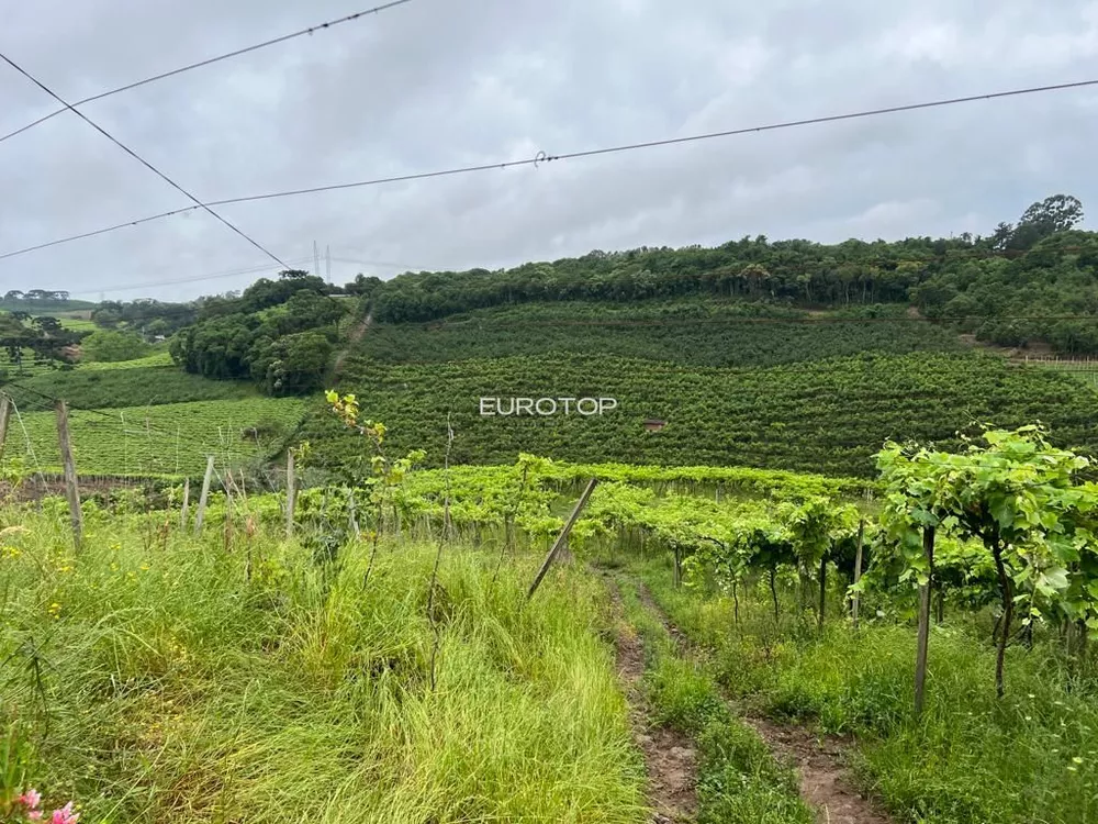 Terreno, 5 hectares - Foto 10