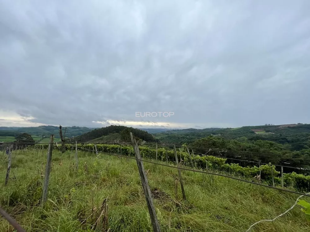 Terreno, 5 hectares - Foto 1