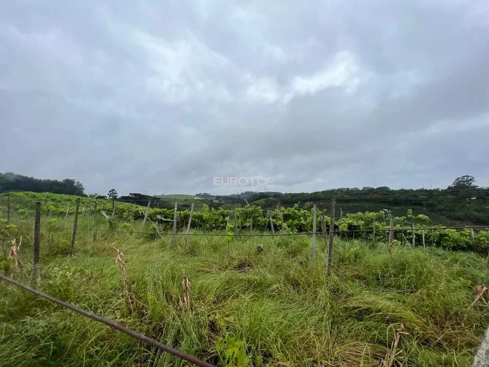 Terreno, 5 hectares - Foto 3