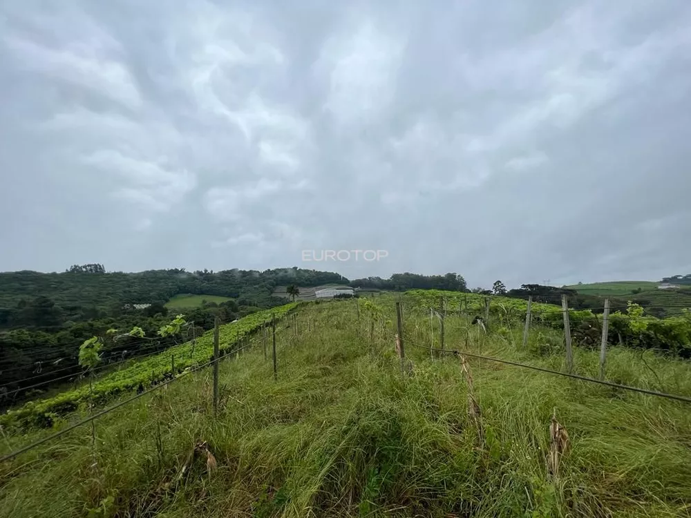 Terreno, 5 hectares - Foto 5