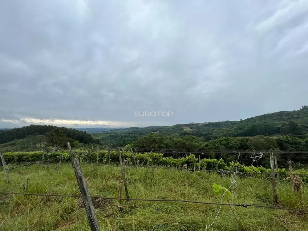 Terreno, 5 hectares - Foto 4