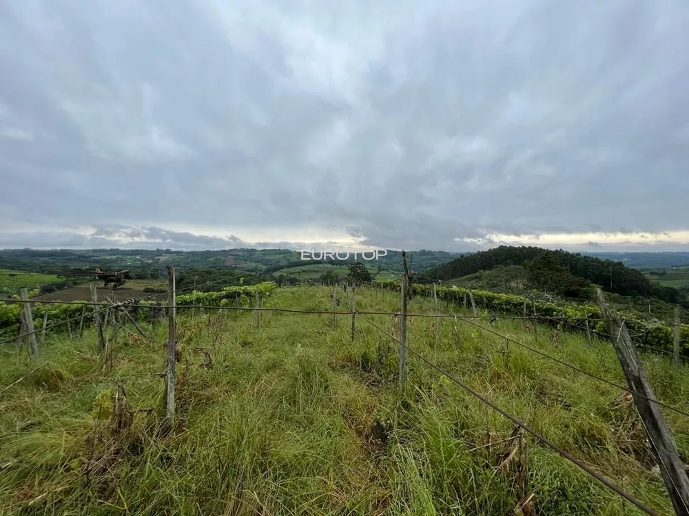 Terreno, 5 hectares - Foto 2