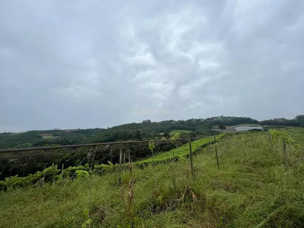 Terreno, 5 hectares - Foto 9