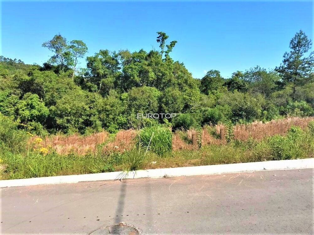 Terreno à venda, 240m² - Foto 1