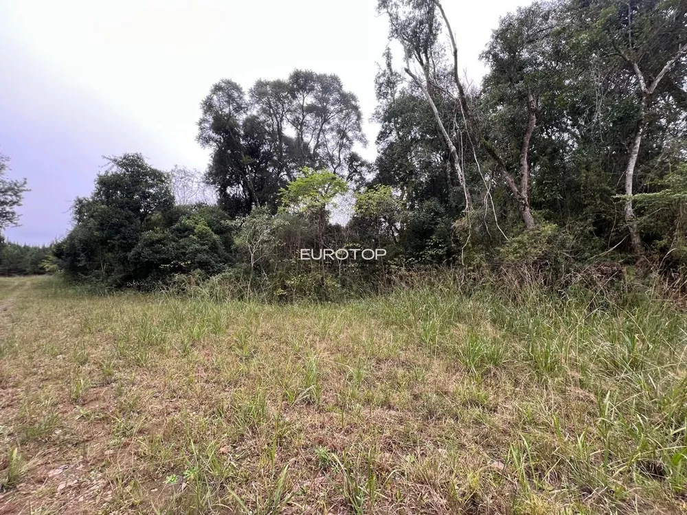 Terreno, 2 hectares - Foto 3