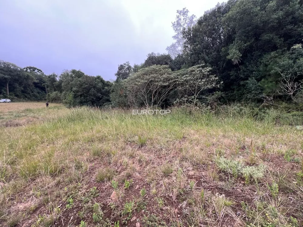 Terreno, 2 hectares - Foto 1