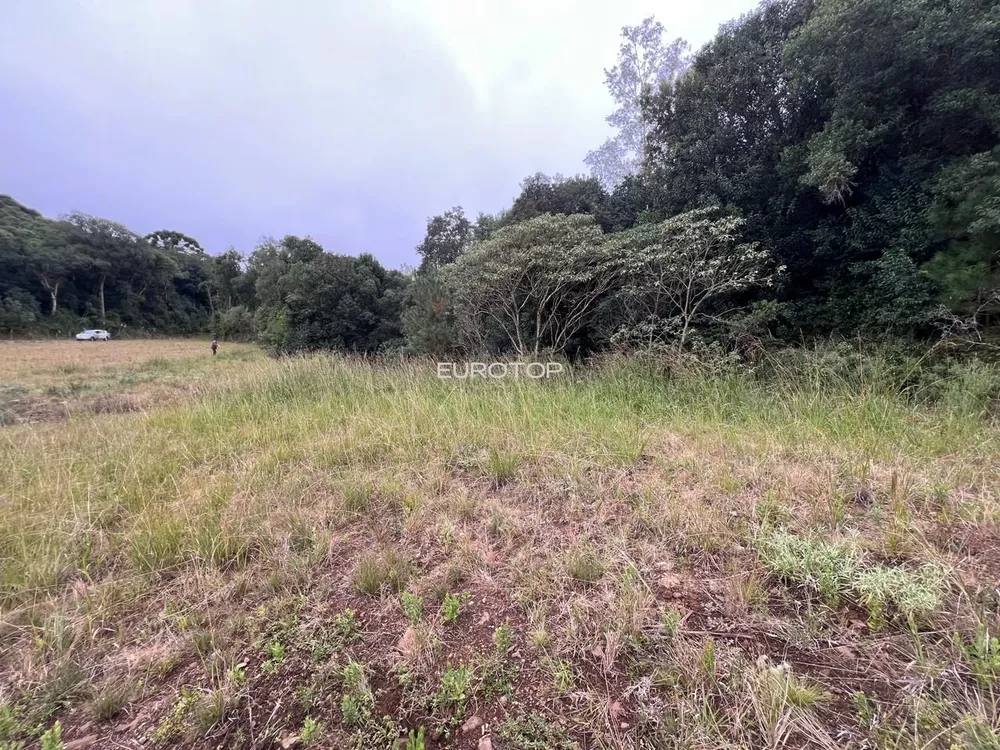 Terreno, 2 hectares - Foto 4