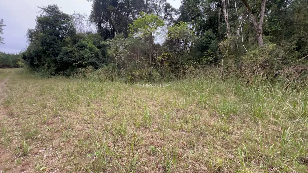 Terreno, 2 hectares - Foto 2