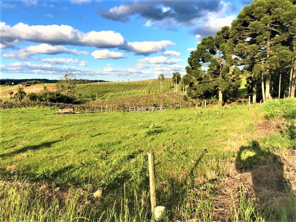 Terreno à venda, 433m² - Foto 1