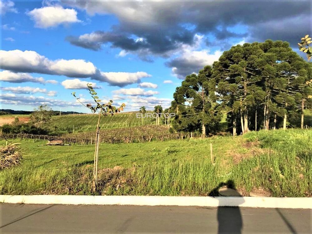 Terreno à venda, 433m² - Foto 6
