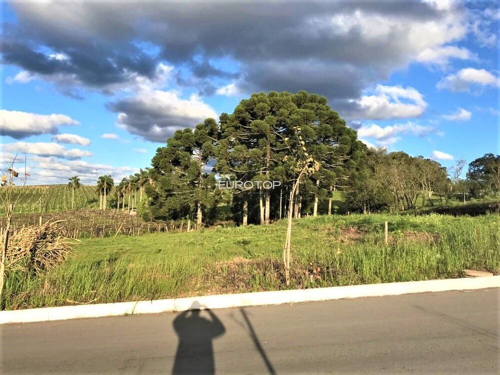 Terreno à venda, 433m² - Foto 4