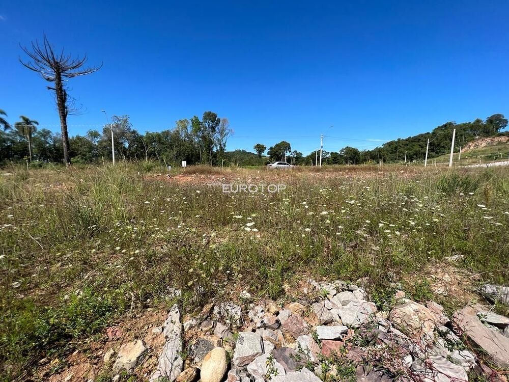 Terreno à venda, 362m² - Foto 5