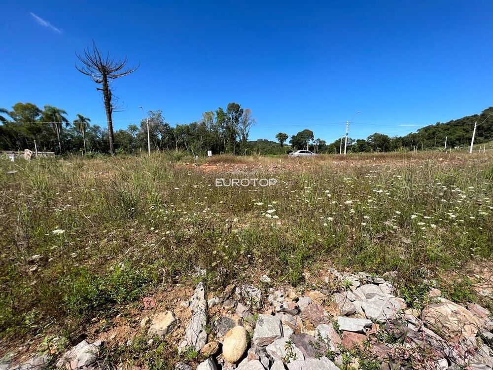 Terreno à venda, 362m² - Foto 6