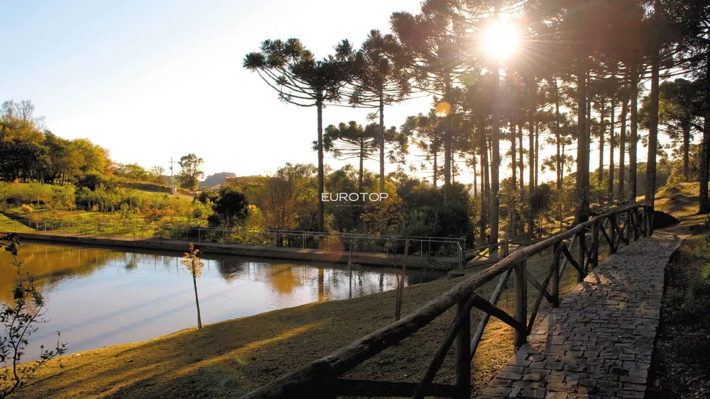 Terreno, 2395 m² - Foto 4