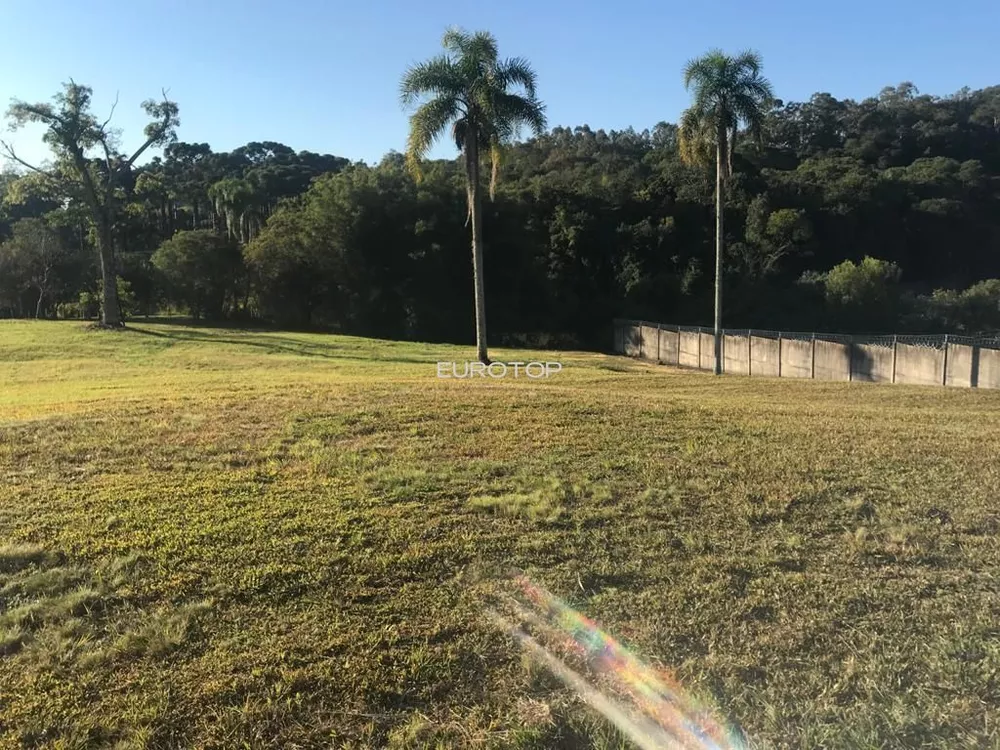 Terreno, 2395 m² - Foto 6