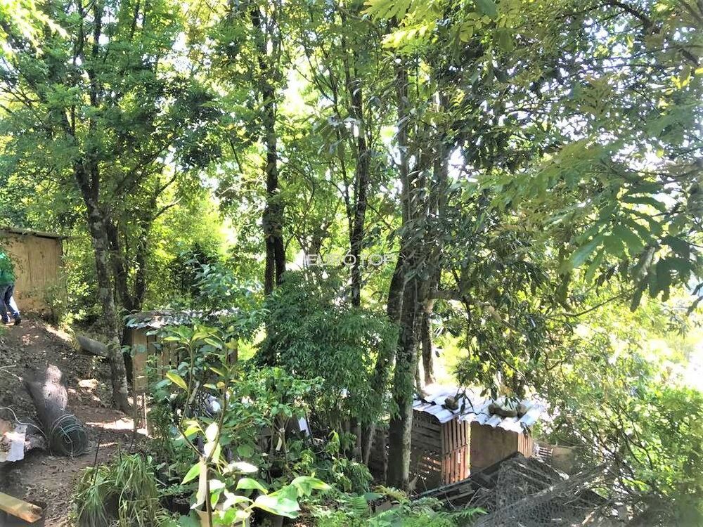 Casa, 3 quartos, 170 m² - Foto 5