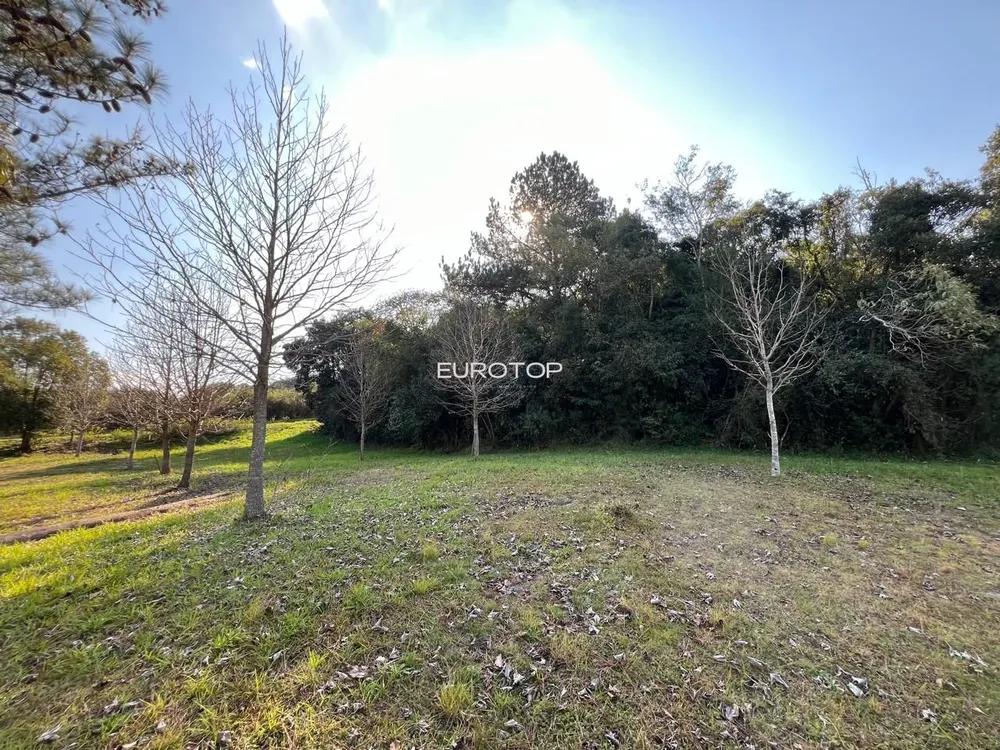 Sítio, 5 hectares - Foto 2