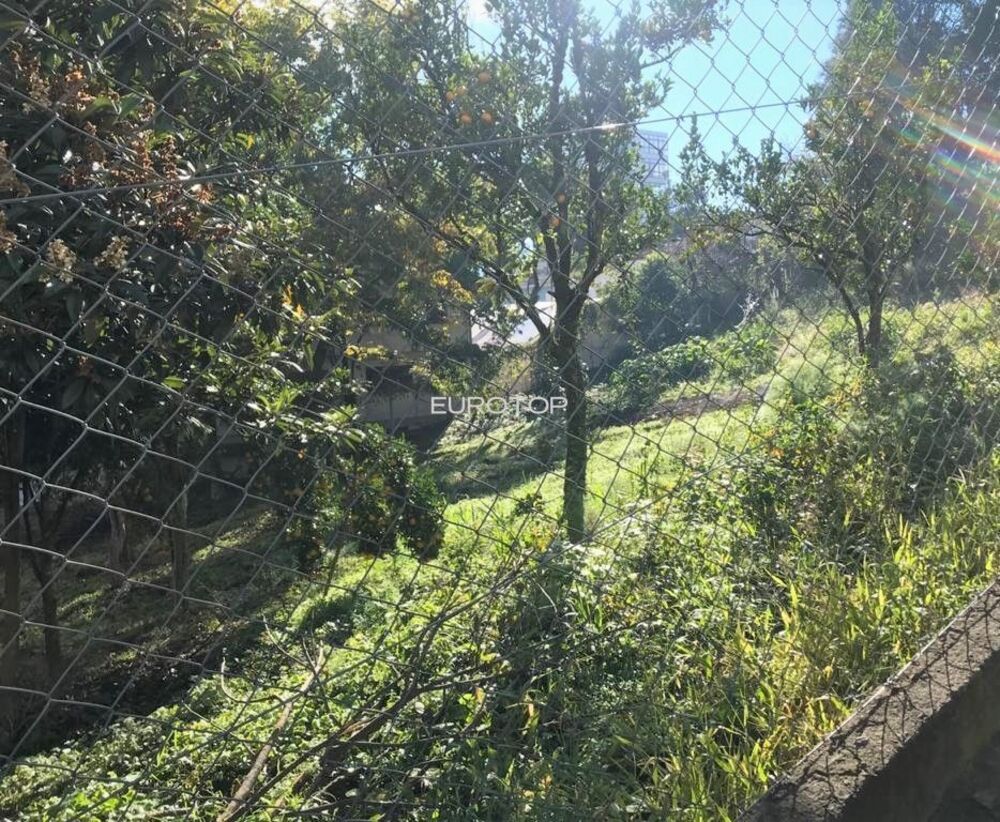 Terreno à venda, 2624m² - Foto 3
