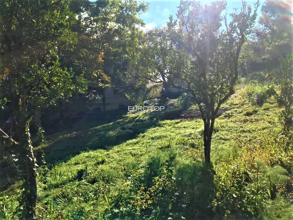 Terreno à venda, 2624m² - Foto 2