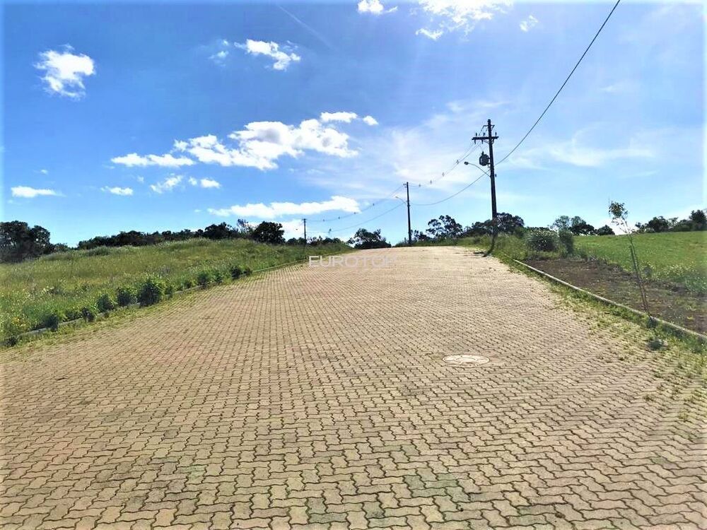 Terreno, 1319 m² - Foto 3