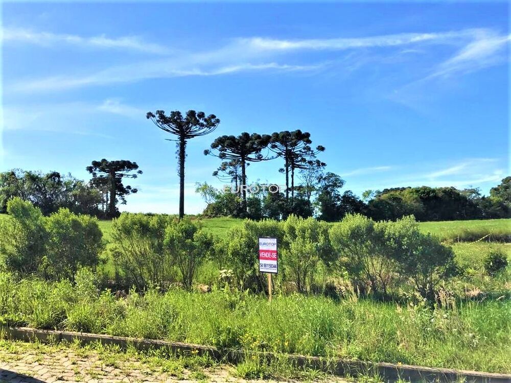 Terreno, 1319 m² - Foto 6
