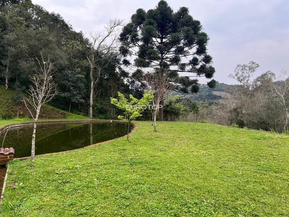 Sítio, 1 quarto, 3 hectares - Foto 8