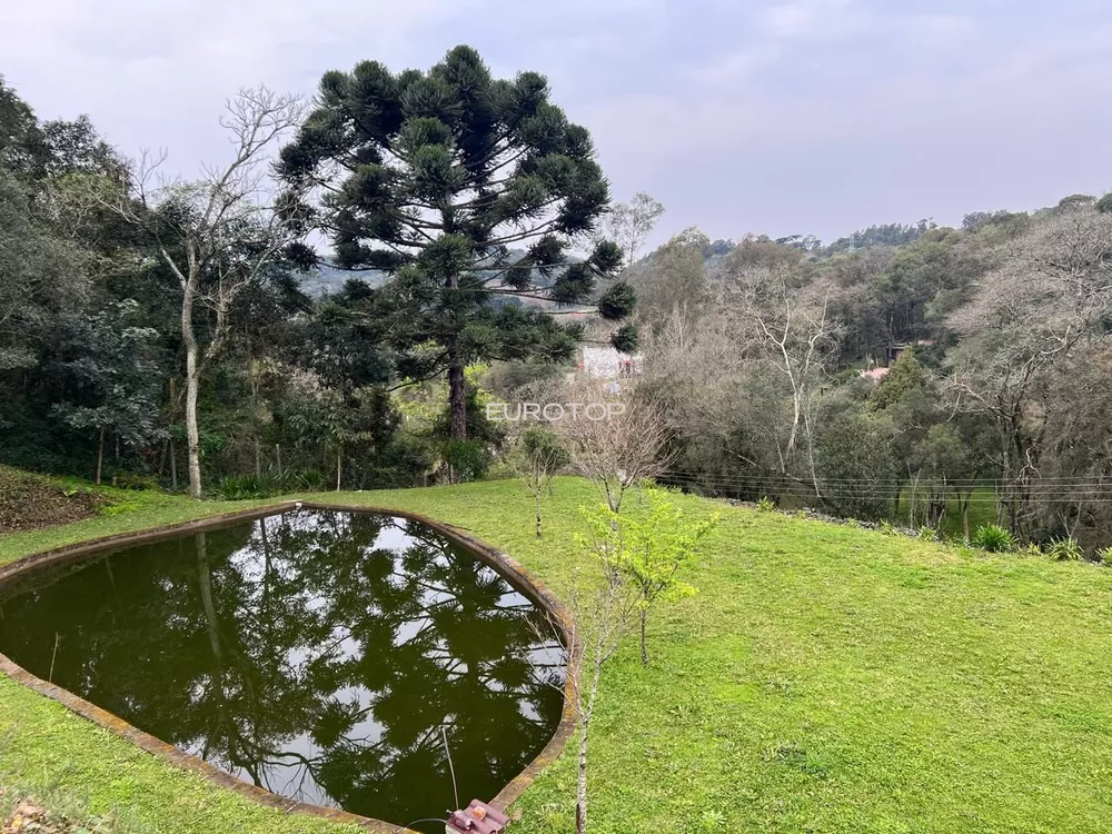 Sítio, 1 quarto, 3 hectares - Foto 6