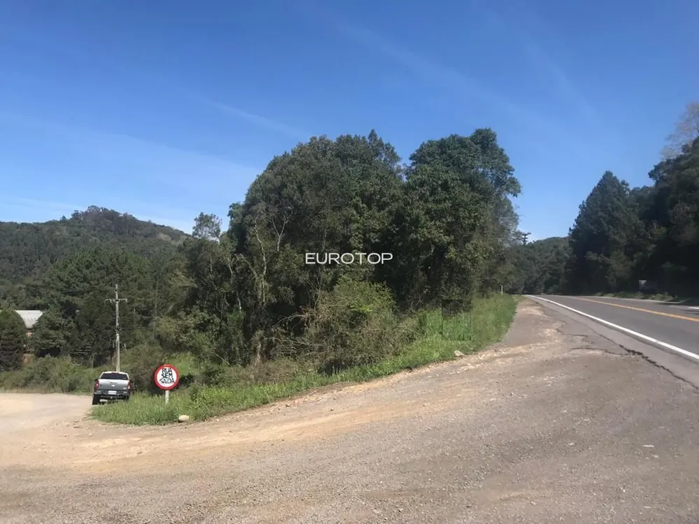 Terreno, 2 hectares - Foto 4