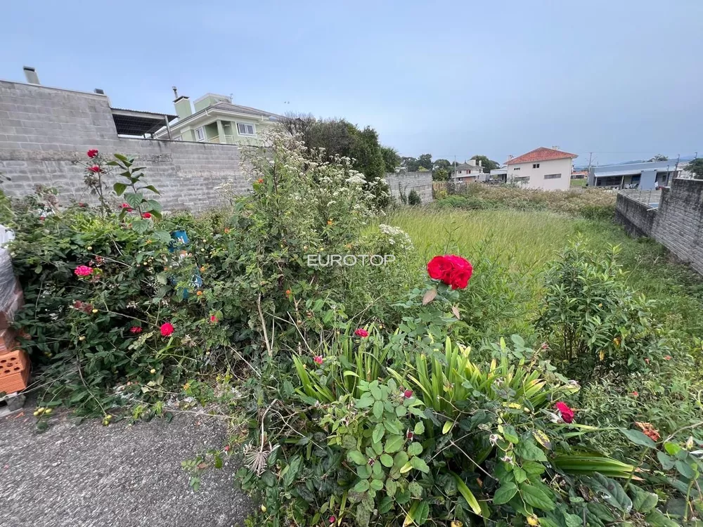 Terreno, 480 m² - Foto 1