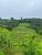 Loteamento e Condomínio, 42268 hectares - Foto 2